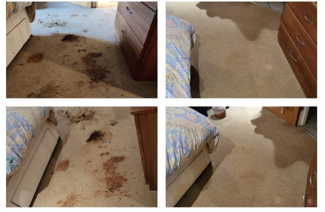 carpet